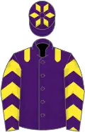 Purple, yellow epaulettes, yellow chevrons on sleeves, purple cap, yellow diamonds