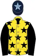 Yellow, black stars and sleeves, dark blue cap, light blue star