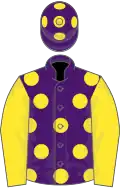 Purple, yellow spots and sleeves