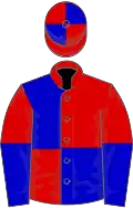 Red and blue (quartered), halved sleeves, quartered cap