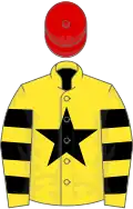 Yellow, black star, hooped sleeves, red cap