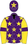 Purple, yellow stars, yellow sleeves, purple armlets, purple cap, yellow star