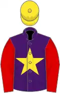 Purple, yellow star, red sleeves, yellow cap