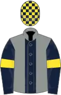 Grey, dark blue stripe, dark blue sleeves, yellow armlets, check cap