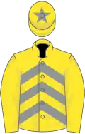 Yellow and grey chevrons, yellow sleeves, yellow cap, grey star
