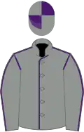 Grey, Purple seams, quartered cap