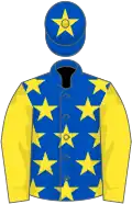 Royal blue, yellow stars and sleeves, star on cap