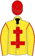Yellow, red cross of lorraine, red seams on sleeves, red cap
