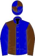 Blue and brown (halved), reversed sleeves, quartered cap