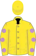 Yellow, mauve spots on sleeves