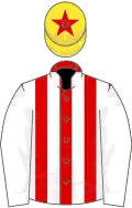RED and WHITE STRIPES, white sleeves, yellow cap, red star