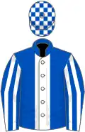 Royal blue, white stripe, striped sleeves, check cap