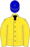 Yellow, royal blue cap