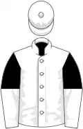 White, black and white halved sleeves