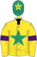 Yellow, emerald green star, yellow sleeves, purple armlets, emerald green cap, yellow star