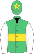 Emerald green, yellow hoop, white sleeves, emerald green cap, yellow star