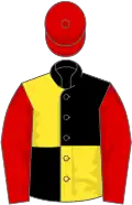Black and yellow (quartered), red sleeves and cap
