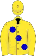 Yellow, large blue spots