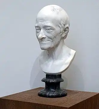 Bust of Voltaire by Jean-Antoine Houdon, Angers Museum, (1778)