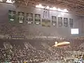Flags and banners of Panathinaikos in OAKA