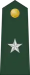 Brigadier general (Philippine Army)[44]