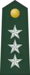 Lieutenant general (Philippine Army)