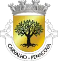Coat of arms of Carvalho