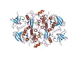1ad5: SRC FAMILY KINASE HCK-AMP-PNP COMPLEX