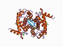 1alw: INHIBITOR AND CALCIUM BOUND DOMAIN VI OF PORCINE CALPAIN