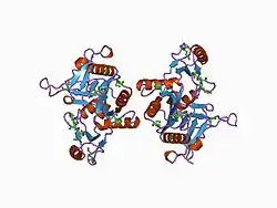 1auv: STRUCTURE OF THE C DOMAIN OF SYNAPSIN IA FROM BOVINE BRAIN