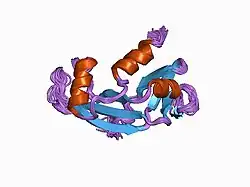 1awz: 3D SOLUTION STRUCTURE OF HUMAN ANGIOGENIN DETERMINED BY 1H, 15N NMR SPECTROSCOPY, 30 STRUCTURES