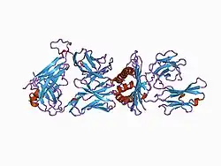 1bd2: COMPLEX BETWEEN HUMAN T-CELL RECEPTOR B7, VIRAL PEPTIDE (TAX) AND MHC CLASS I MOLECULE HLA-A 0201