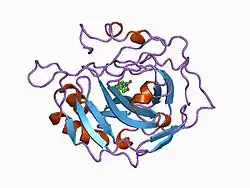 1cnx: SECONDARY INTERACTIONS SIGNIFICANTLY REMOVED FROM THE SULFONAMIDE BINDING POCKET OF CARBONIC ANHYDRASE II INFLUENCE BINDING CONSTANTS