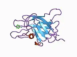 1czs: CRYSTAL STRUCTURE OF THE C2 DOMAIN OF HUMAN COAGULATION FACTOR V: COMPLEX WITH PHENYLMERCURY