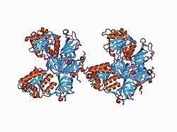 1d2e: CRYSTAL STRUCTURE OF MITOCHONDRIAL EF-TU IN COMPLEX WITH GDP