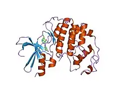 1di8: THE STRUCTURE OF CYCLIN-DEPENDENT KINASE 2 (CDK2) IN COMPLEX WITH 4-[3-HYDROXYANILINO]-6,7-DIMETHOXYQUINAZOLINE