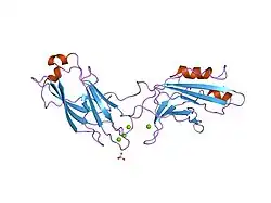 1dqv: CRYSTAL STRUCTURE OF SYNAPTOTAGMIN III C2A/C2B