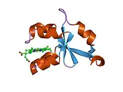 1ehb: CRYSTAL STRUCTURE OF RECOMBINANT TRYPSIN-SOLUBILIZED FRAGMENT OF CYTOCHROME B5