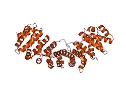 1ejy: MOUSE IMPORTIN ALPHA-NUCLEOPLASMIN NLS PEPTIDE COMPLEX