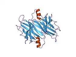 1f86: TRANSTHYRETIN THR119MET PROTEIN STABILISATION