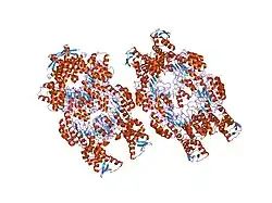 1fqv: Insights into scf ubiquitin ligases from the structure of the skp1-skp2 complex