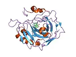 1g53: CARBONIC ANHYDRASE II COMPLEXED WITH 4-(AMINOSULFONYL)-N-[(2,6-DIFLUOROPHENYL)METHYL]-BENZAMIDE