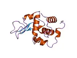 1gfh: CRYSTAL STRUCTURE OF MUTANT HUMAN LYSOZYME SUBSTITUTED AT THE SURFACE POSITIONS