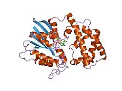 1gil: STRUCTURE OF ACTIVE CONFORMATIONS OF GIA1 AND THE MECHANISM OF GTP HYDROLYSIS