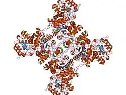 1gz4: MOLECULAR MECHANISM OF THE REGULATION OF HUMAN MITOCHONDRIAL NAD(P)+-DEPENDENT MALIC ENZYME BY ATP AND FUMARATE