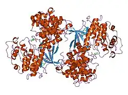 1h1q: STRUCTURE OF HUMAN THR160-PHOSPHO CDK2/CYCLIN A COMPLEXED WITH THE INHIBITOR NU6094