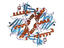 1i7l: CRYSTAL STRUCTURE ANALYSIS OF THE COMPLEX OF THE C DOMAIN OF SYNAPSIN II FROM RAT WITH ATP