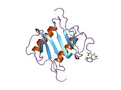 1ilq: CXCR-1 N-TERMINAL PEPTIDE BOUND TO INTERLEUKIN-8 (MINIMIZED MEAN)