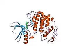 1jvp: Crystal structure of human CDK2 (unphosphorylated) in complex with PKF049-365