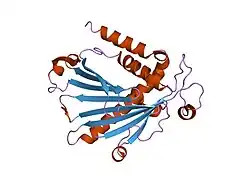 1kcm: Crystal Structure of Mouse PITP Alpha Void of Bound Phospholipid at 2.0 Angstroms Resolution